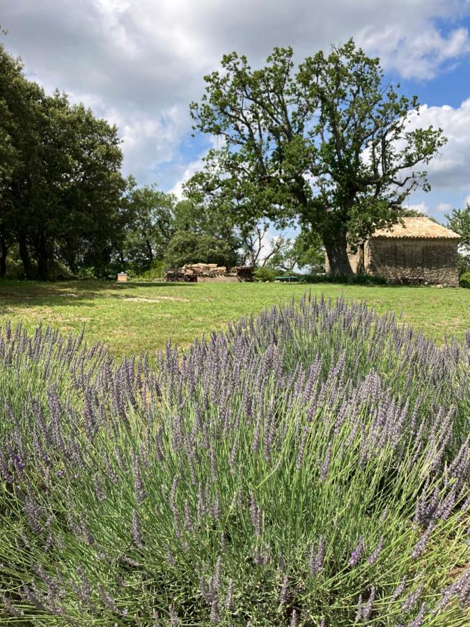 Villa La Bastide Des Roman à Vernegues Extérieur photo